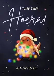 Vrolijke kerst verjaardagskaart roodborstje met lampjes