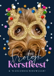Vrolijke kerstkaart glitterbril sterren sterren foto hond