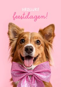 Vrolijke kerstkaart met hond en roze strik