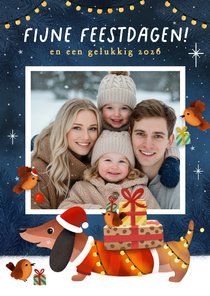 Vrolijke kerstkaart met teckel en roodborstjes en foto