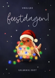 Vrolijke kerstkaart roodborstje met gekleurde lampjes