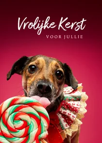 Vrolijke kerstkaart van hondje met lolly en kraagje