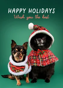 Vrolijke kerstkaart van hondjes met kerstkleding