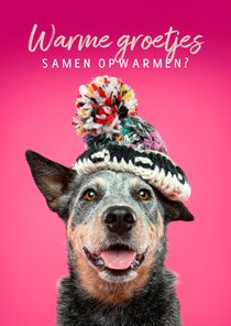 Warme winterse groet van hond met wintermuts