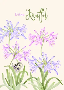 Wenskaart agapanthus bloemen dikke knuffel
