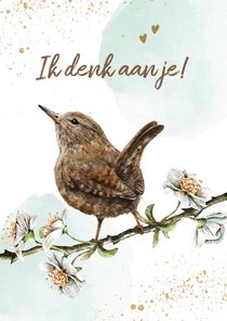 Wenskaart denk aan jou met vogeltje op bloesemtak