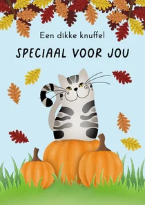 Wenskaart - Herfst Kat op pompoenen
