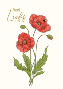 Wenskaart klaproos met hommel