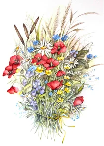 Wenskaart klaprozen boeket in aquarel