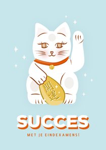 Wenskaart lucky cat succes met je eindexamens