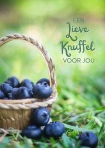 Wenskaart met een emmertje bosbessen op groen gras