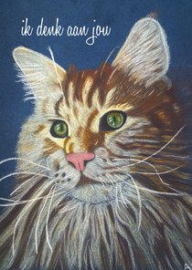 Wenskaart met getekende poes