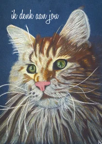 Wenskaart met getekende poes
