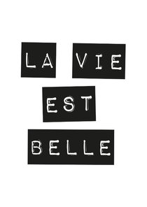 Wenskaart quote "La vie est belle"