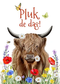 Wenskaart schotse hooglander met veldbloemen