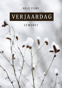 Winterse verjaardagskaart natuur foto met sneeuw