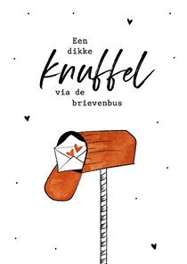 Zomaar kaart, een dikke knuffel door de brievenbus