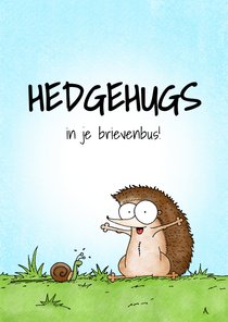 Zomaar kaart met een egeltje die hedgehugs geeft