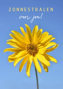 Zomerse beterschapskaart met foto van een zonnebloem