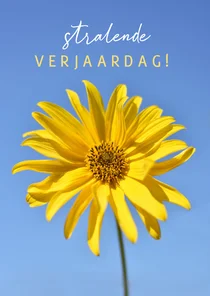 Zomerse verjaardagskaart met foto van vrolijke gele boem