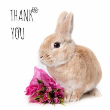 Bedankt - Thank you konijn