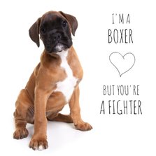 Beterschap - I'm a boxer 