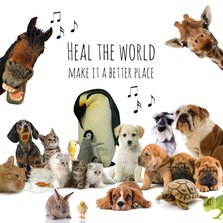 Beterschapskaart heal the world dieren