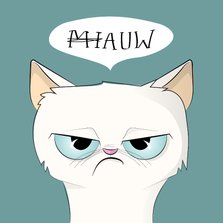 Beterschapskaart humoristische illustratie van kat met pijn