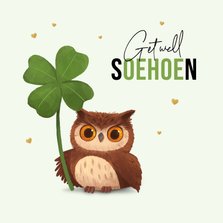 Beterschapskaart uil oehoe dieren get well soon klavertje