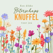 Beterschapskaartje wilde bloemen kleurrijk dikke knuffel