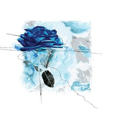 Bloemenkaart blauwe roos op vierkant