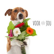 Bloemenkaart - Boris de hond - Voor jou