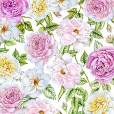 Bloemenkaart rozen pastel