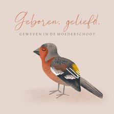 Christelijk felicitatiekaartje met vogel voor geboorte