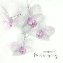 Condoleance met orchidee-paars-