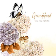 Condoleancekaart hortensia vlinder