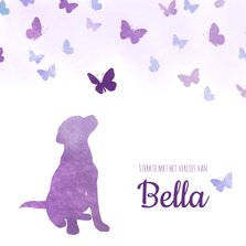 Condoleancekaart Huisdier hond met vlinders