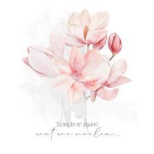 Condoleancekaart magnolia zachte tonen vervaagd