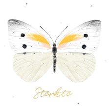 Condoleancekaart met illustratie van een vlinder