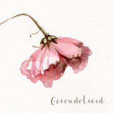 Condoleancekaart met waterverf Cosmea bloem schilderij