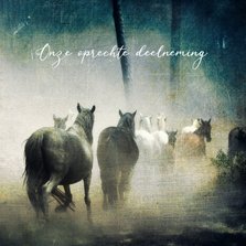 Condoleancekaart paarden in mist