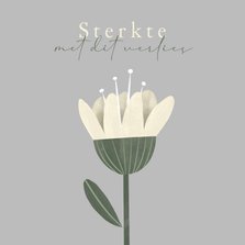 Condoleancekaart sobere witte bloem sterkte