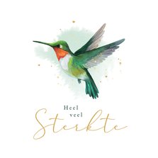 Condoleancekaart sterkte kolibrie vogel waterverf