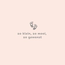 Condoleancekaart Zo klein, zo lief, zo gewenst