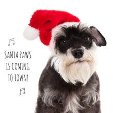 Dieren kerstkaart - Hond - Paws