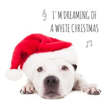 Dieren kerstkaart - Hond - Staff