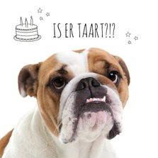 Dieren verjaardagskaart - Bulldog hond