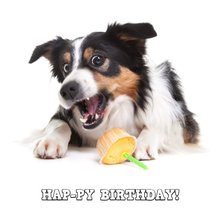 Dieren Verjaardagskaart - Hap-py Birthday