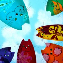 Dierenkaart regenboog katten