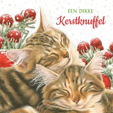 Dikke kerstknuffel kaart met 2 lieve kittens